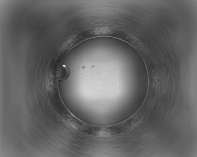 X0000057560308200509231206