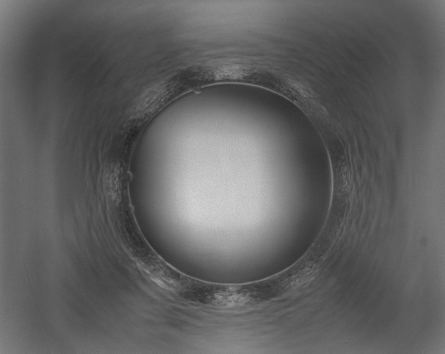 X0000057560311200509231206