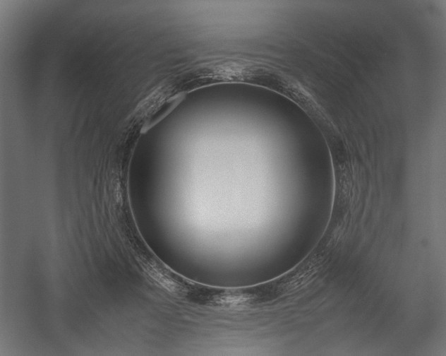 X0000057560313200509231206