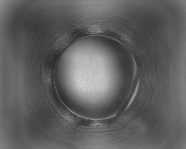 X0000057560315200509231206