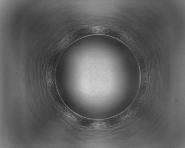 X0000057560317200509231206