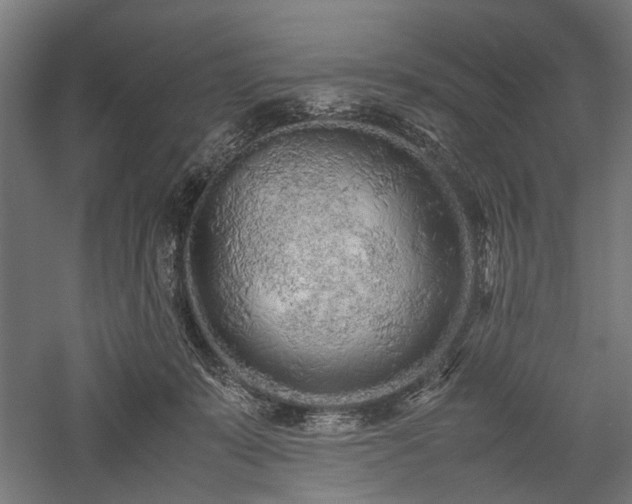 X0000057560319200509231206