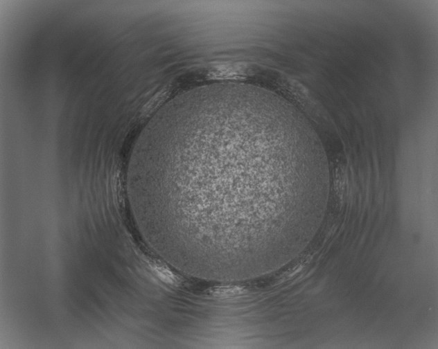 X0000057560322200509231206