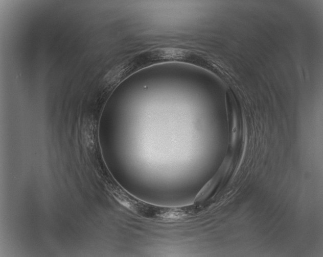 X0000057560325200509231206