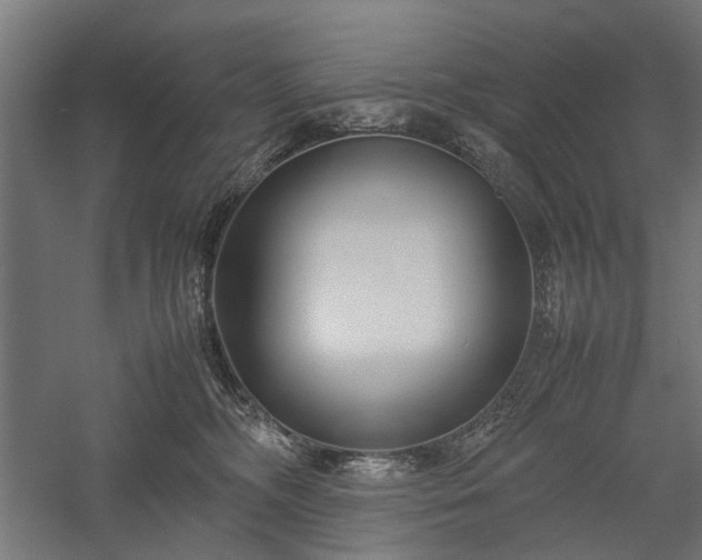 X0000057560326200509231206