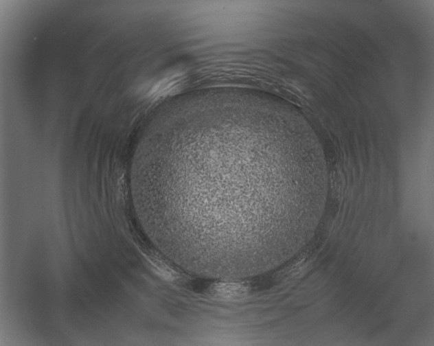 X0000057560327200509231206