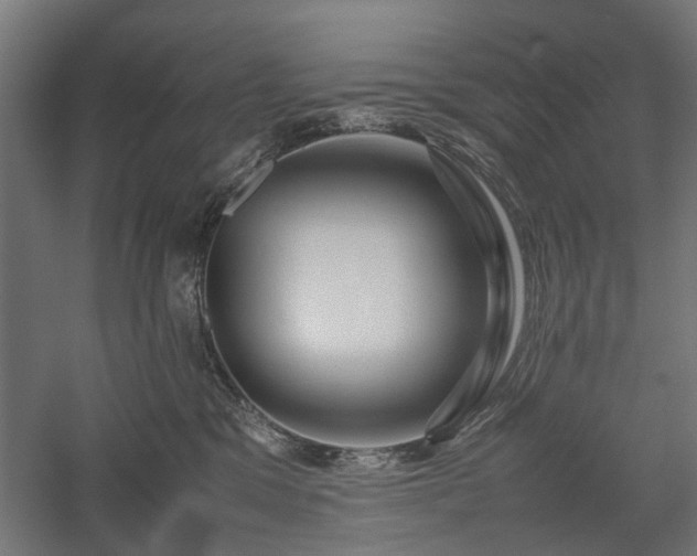 X0000057560329200509231206