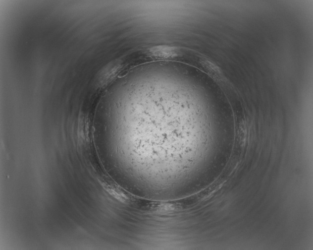 X0000057560330200509231206