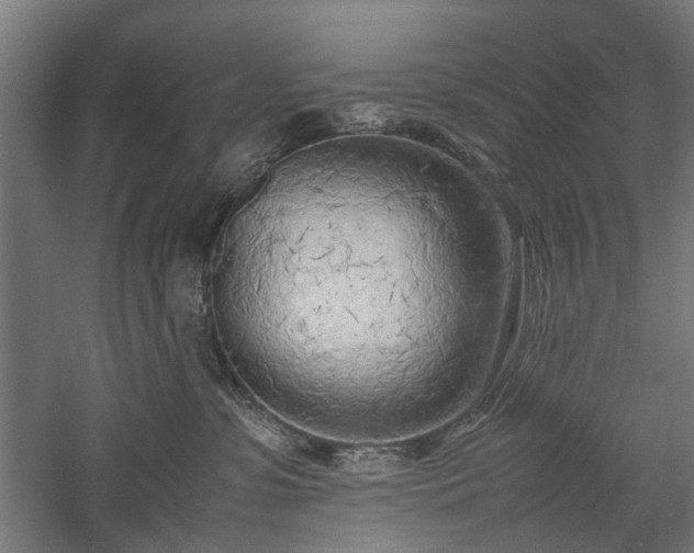 X0000057560331200509231206