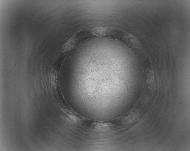 X0000057560332200509231206