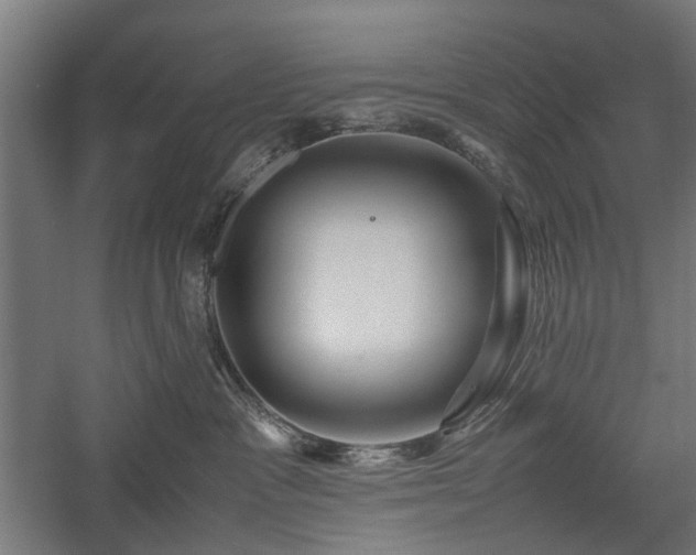 X0000057560333200509231206