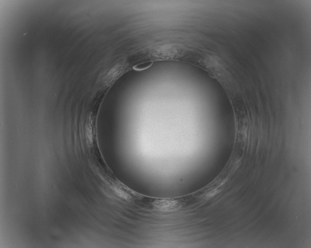 X0000057560334200509231206