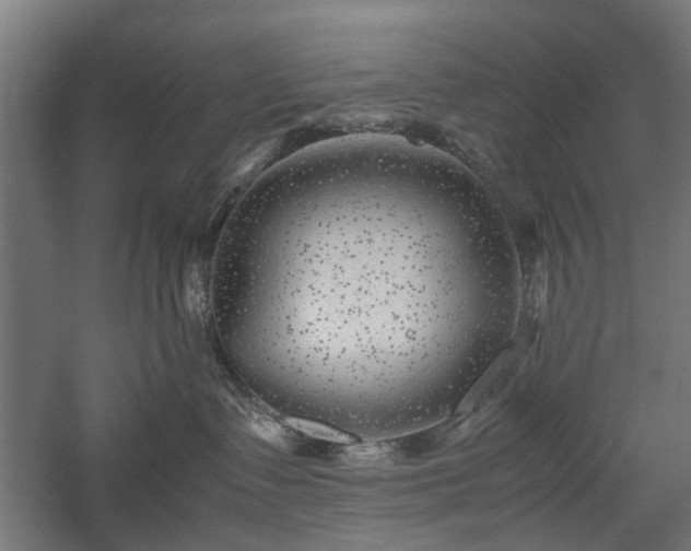 X0000057560335200509231206