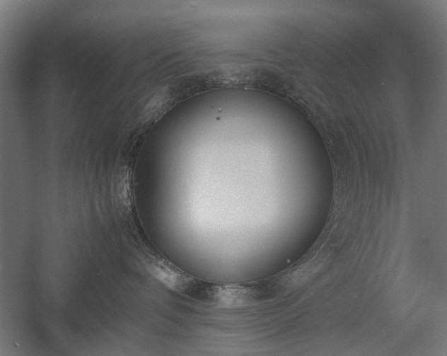 X0000057560336200509231206