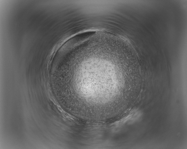 X0000057560337200509231205