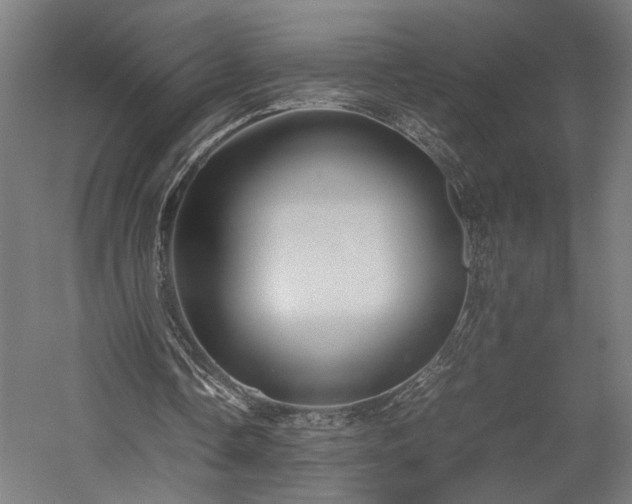 X0000057560338200509231205