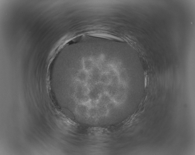 X0000057560339200509231205