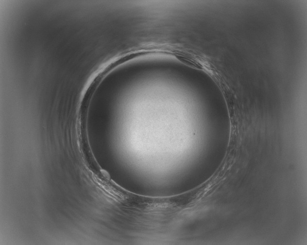 X0000057560342200509231205