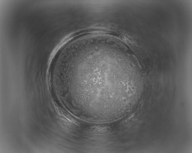 X0000057560343200509231205