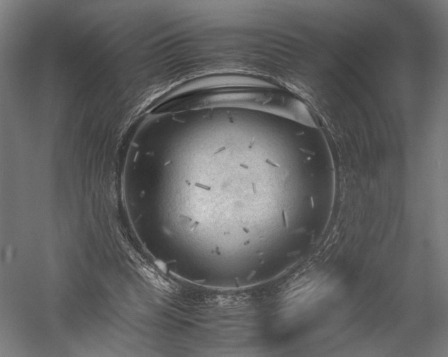 X0000057560345200509231205