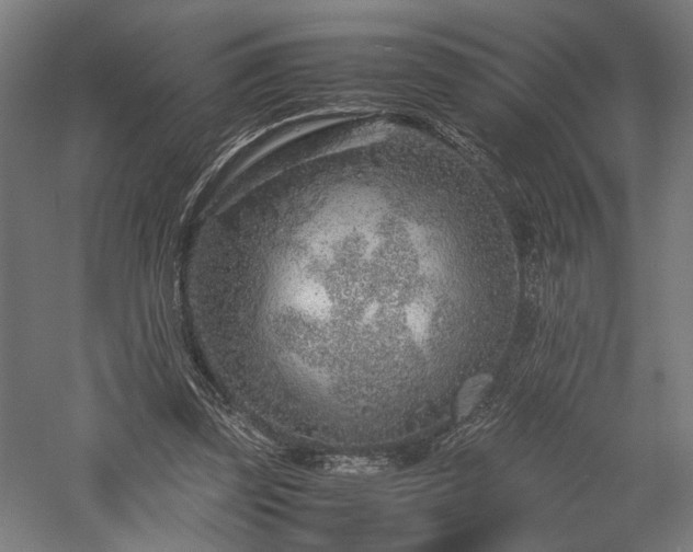 X0000057560347200509231205