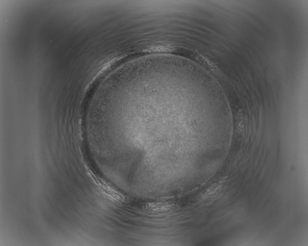 X0000057560351200509231205