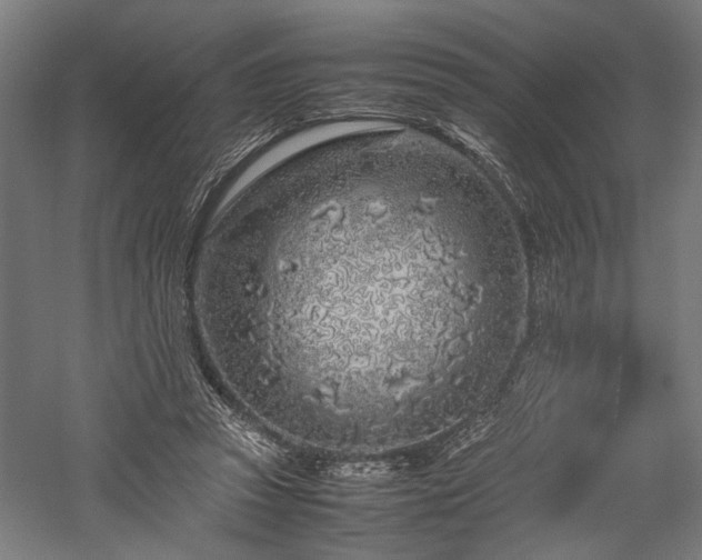 X0000057560353200509231205