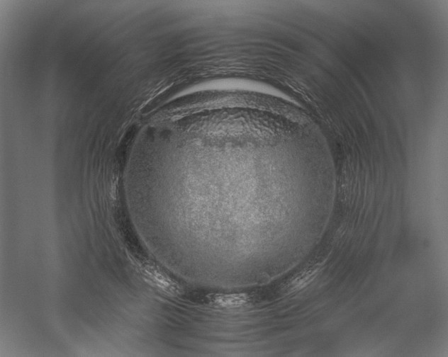 X0000057560355200509231205