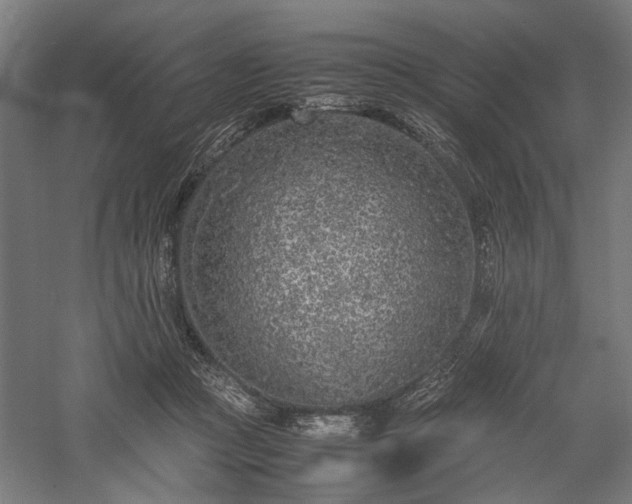 X0000057560361200509231205