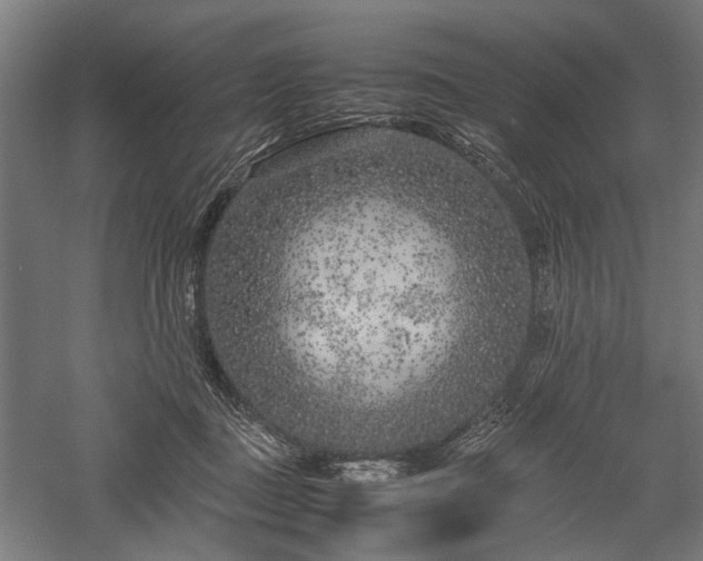 X0000057560363200509231205