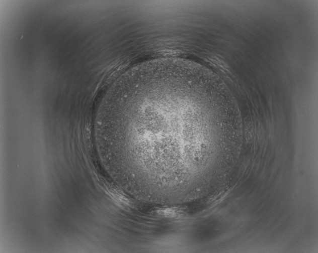 X0000057560365200509231205