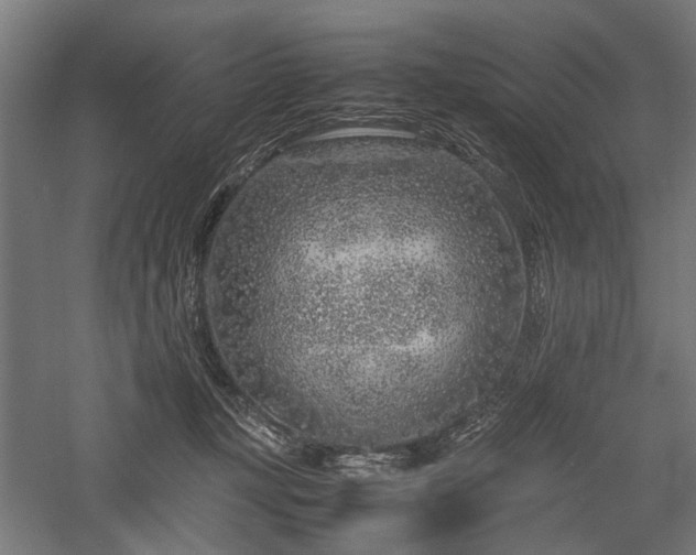 X0000057560367200509231205