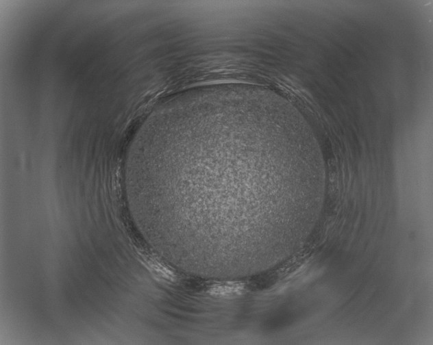 X0000057560369200509231205