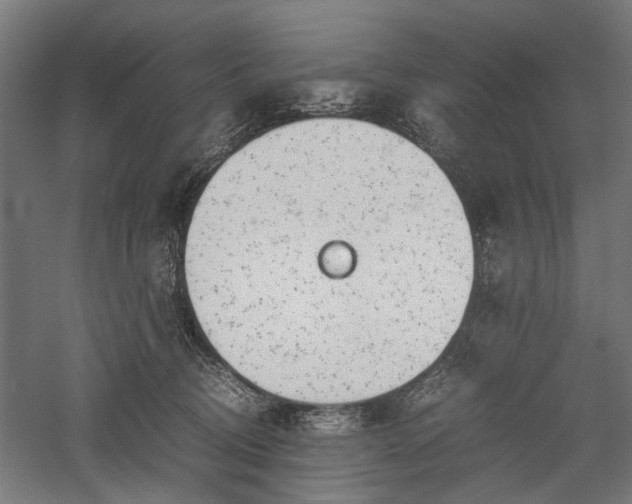 X0000057560370200509231205