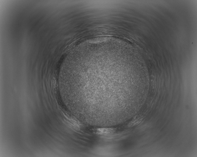 X0000057560371200509231205