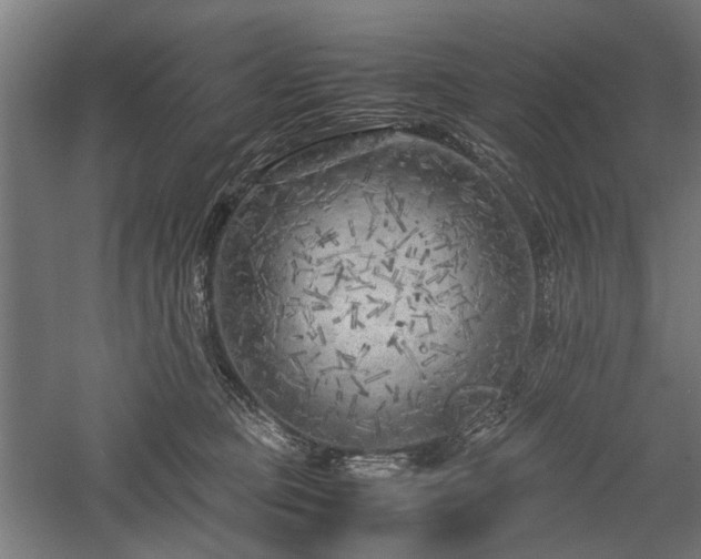 X0000057560373200509231205