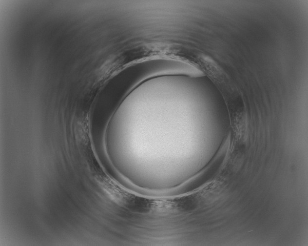 X0000057560376200509231205