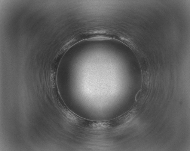 X0000057560378200509231206