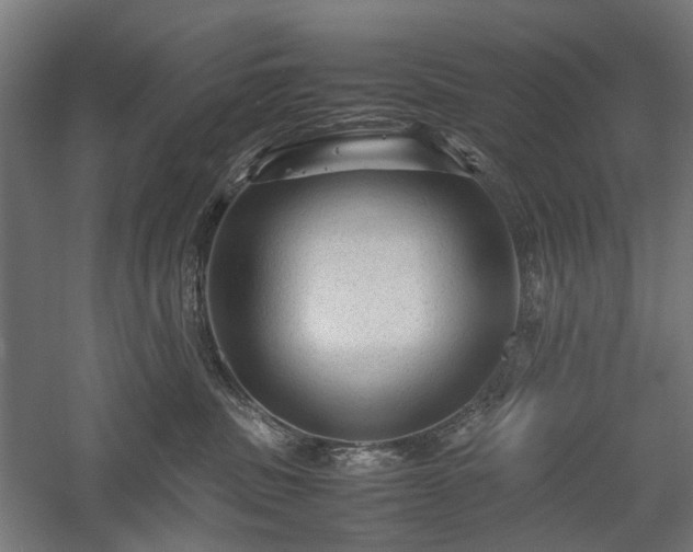 X0000057560379200509231206