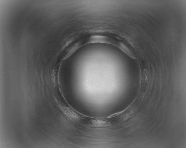 X0000057560380200509231206