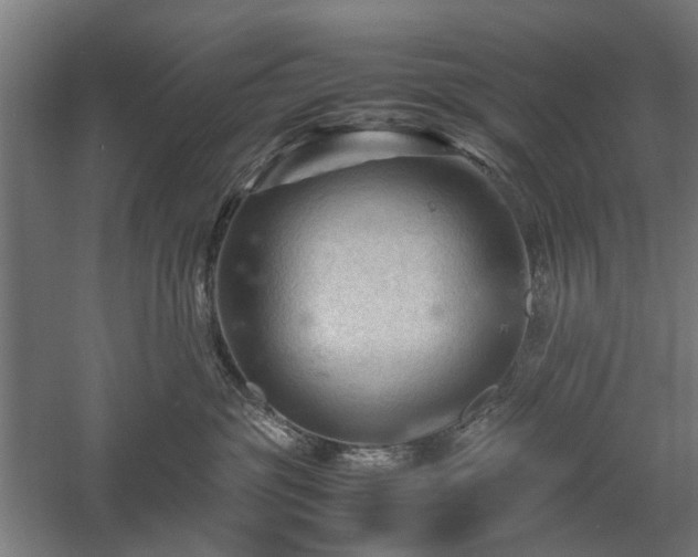 X0000057560381200509231206