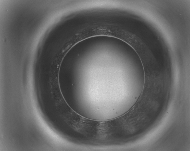 X0000057560382200509231206