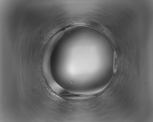 X0000057560385200509231205