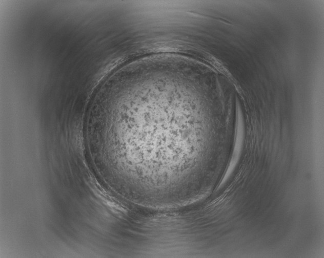 X0000057560386200509231205