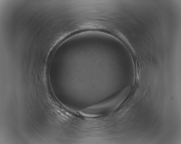 X0000057560387200509231205