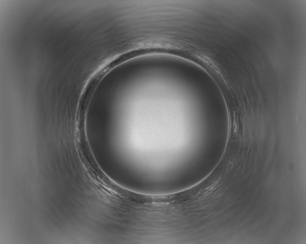 X0000057560388200509231205