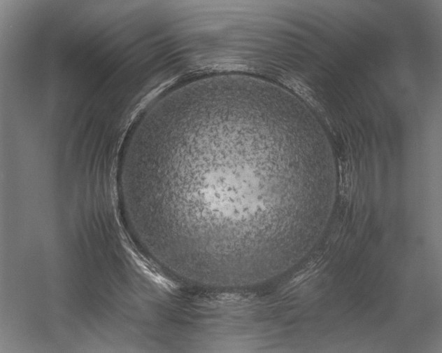 X0000057560390200509231205