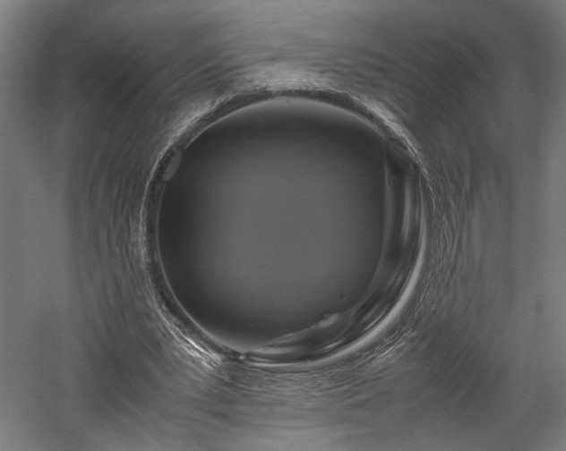 X0000057560391200509231205