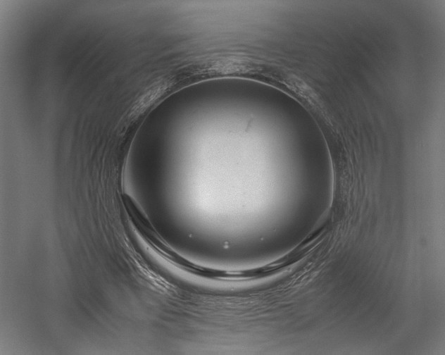 X0000057560393200509231205