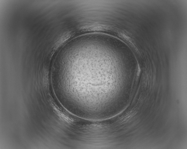 X0000057560394200509231205